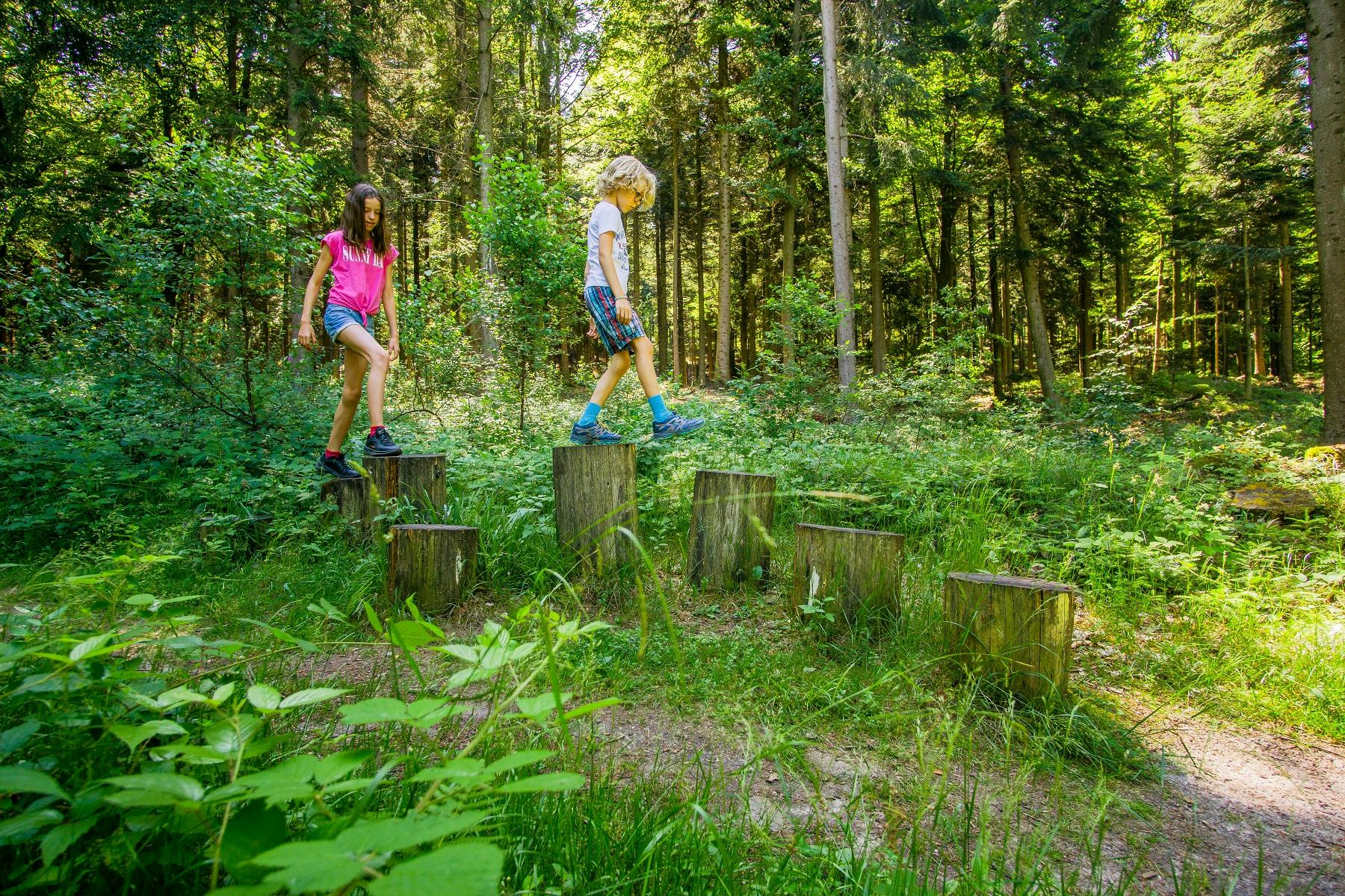 Spiel, Spaß und spannende Fakten rund um die Wildkatze gibt es bei der Familienführung am 12.10. © Tourismus und Stadtmarketing Bad Herrenalb/Fotograf Alex Kijak