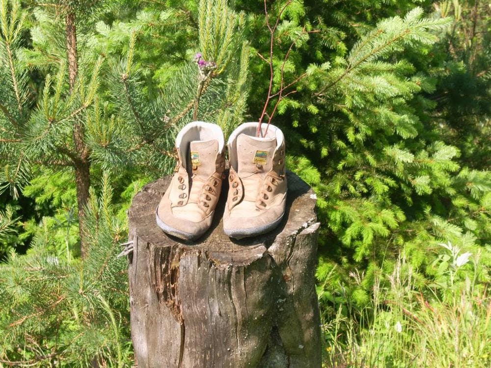 Bei dieser Wanderung sind Mensch und Hund willkommen. Bildquelle: Corinna Plege