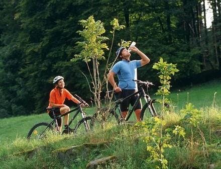 Erkunden Sie die Natur Bad Herrenalbs auf zwei Rädern.