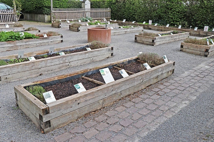Im Herrenalber Klostergarten können die Besucher Kräuter und Heilpflanzen erleben, die auch schon von den Benediktinermönchen als Klosterapotheke genutzt wurden.