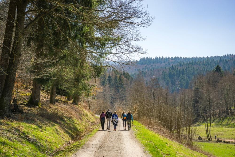 Das Wanderparadies Bad Herrenalb bietet zahlreiche Wanderstrecken und Erlebnistouren