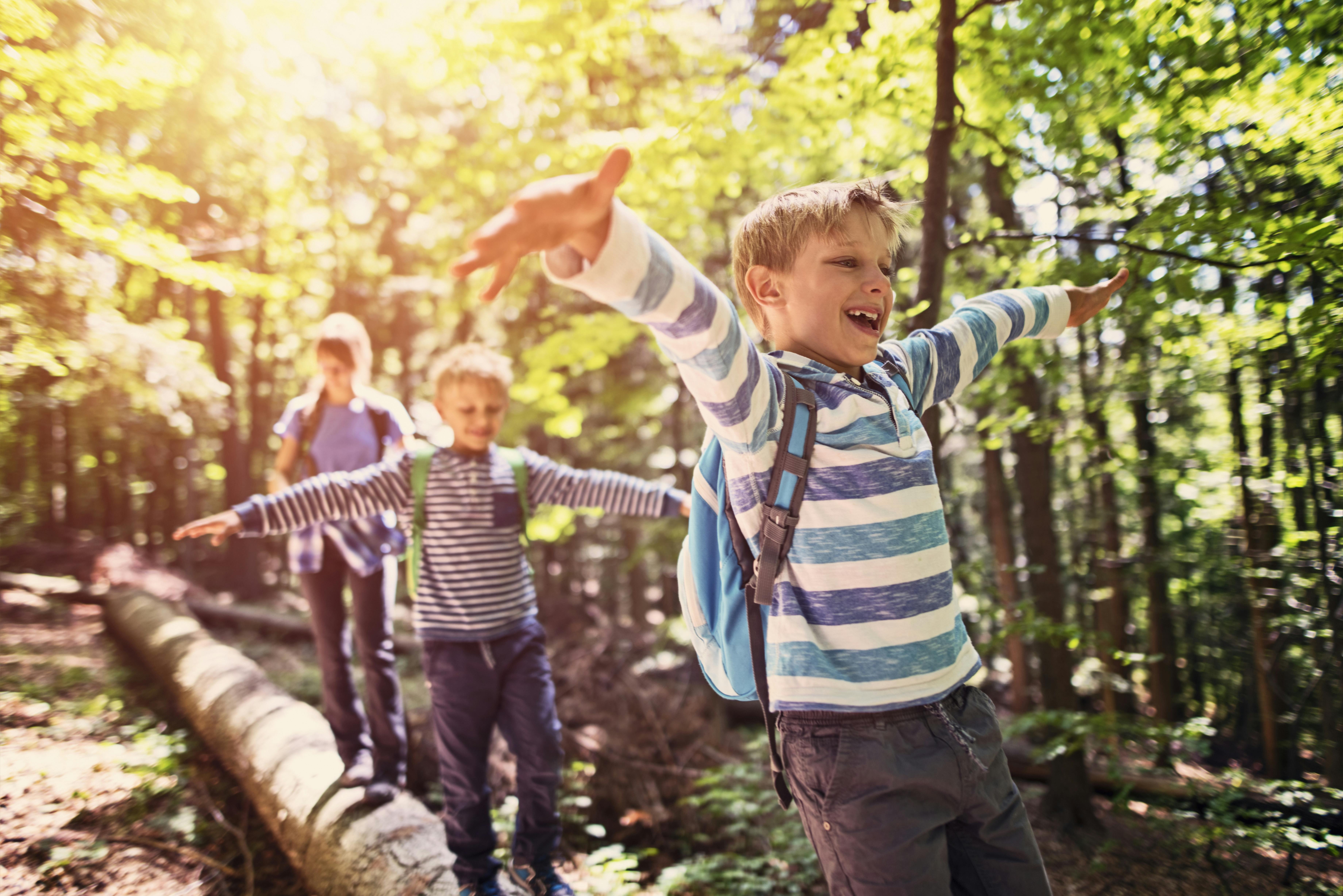 Mit Spiel und Spaß auf den Spuren der scheuen Wildkatze © iStock Imgorthand