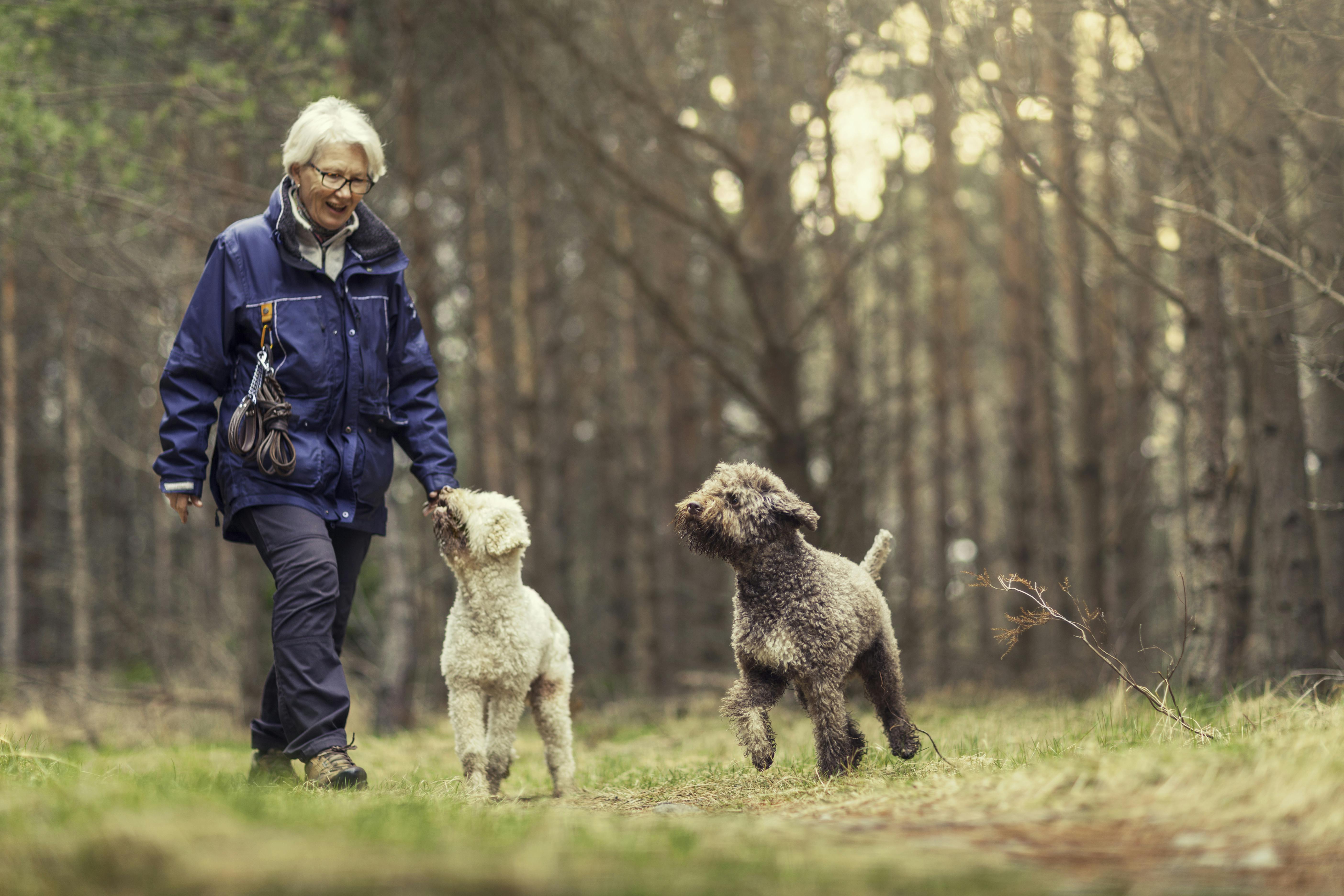 Mit den Vierbeinern auf Erkundungstour © iStock Marcus Lindstrom