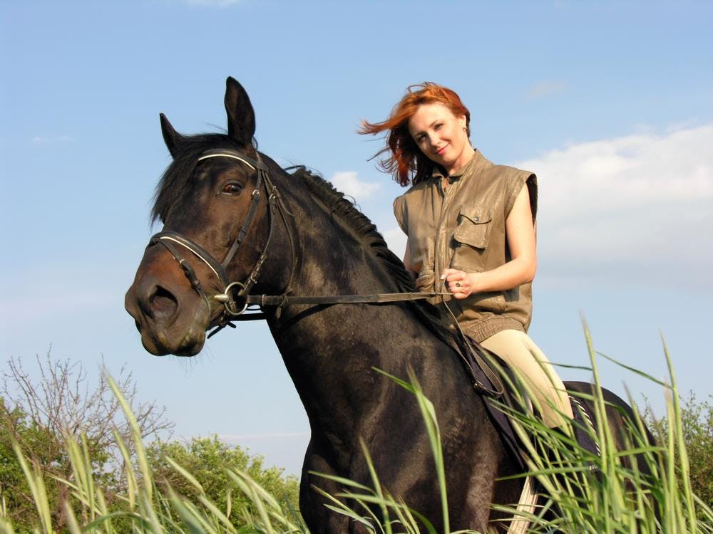 In Bad Herrenalb finden Sie zahlreichen Reitaktivitäten