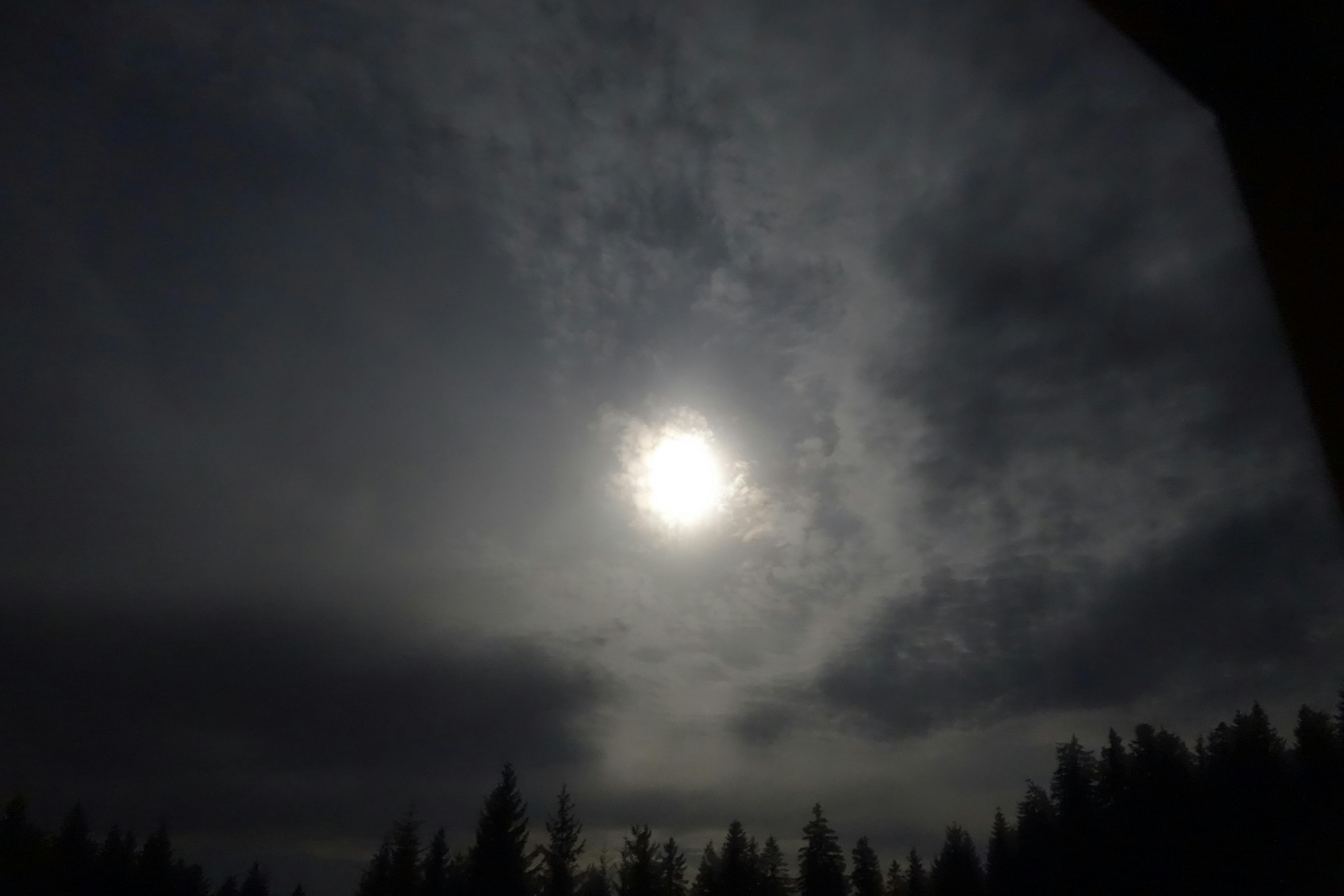 Wintervollmond © Monika Amann