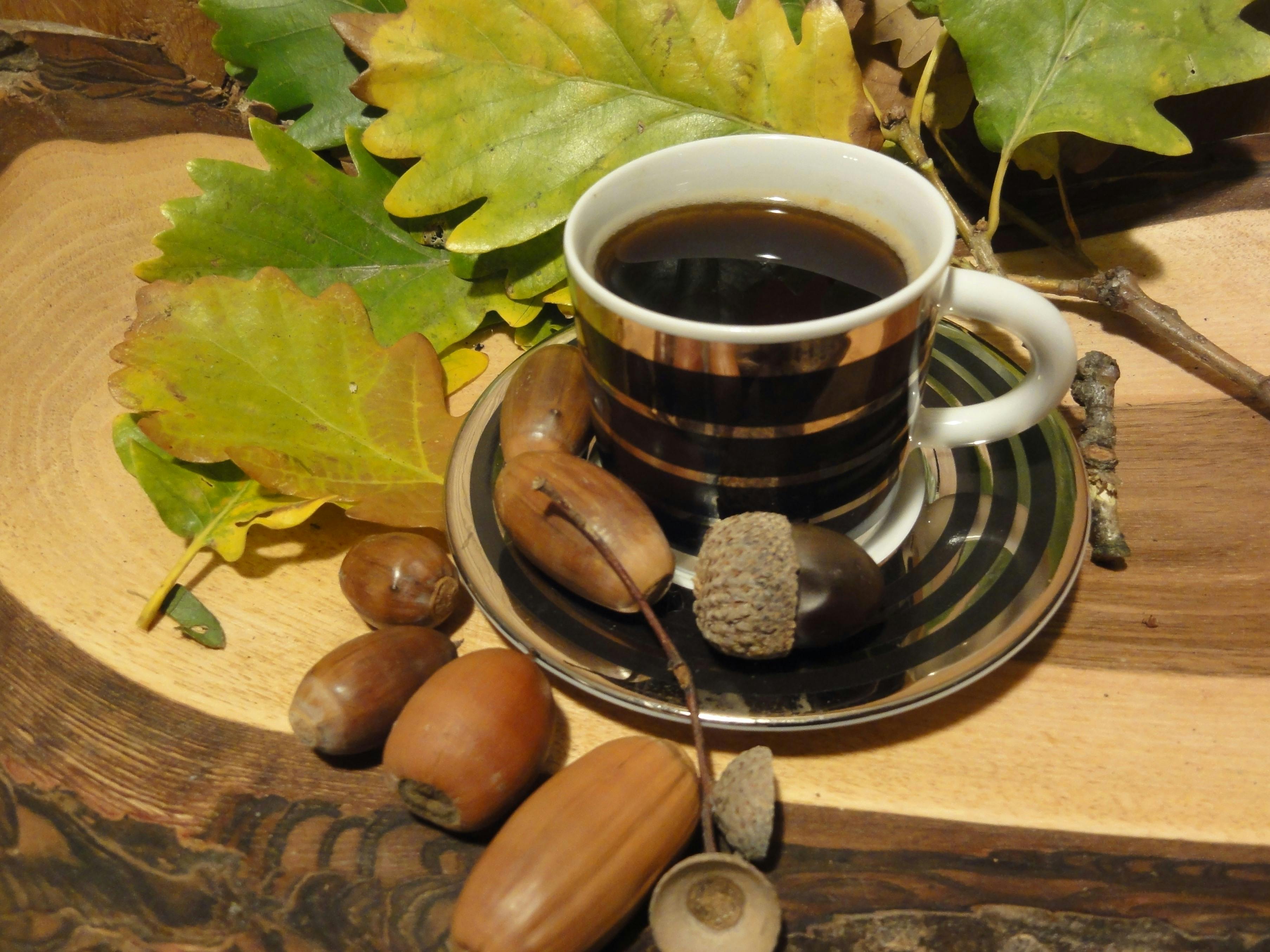 Wilde kulinarische Herbstschätze kitzeln Sie Ihren Gaumen mit gesundheitsförderndem Eichelkaffee © Daniela Schneider