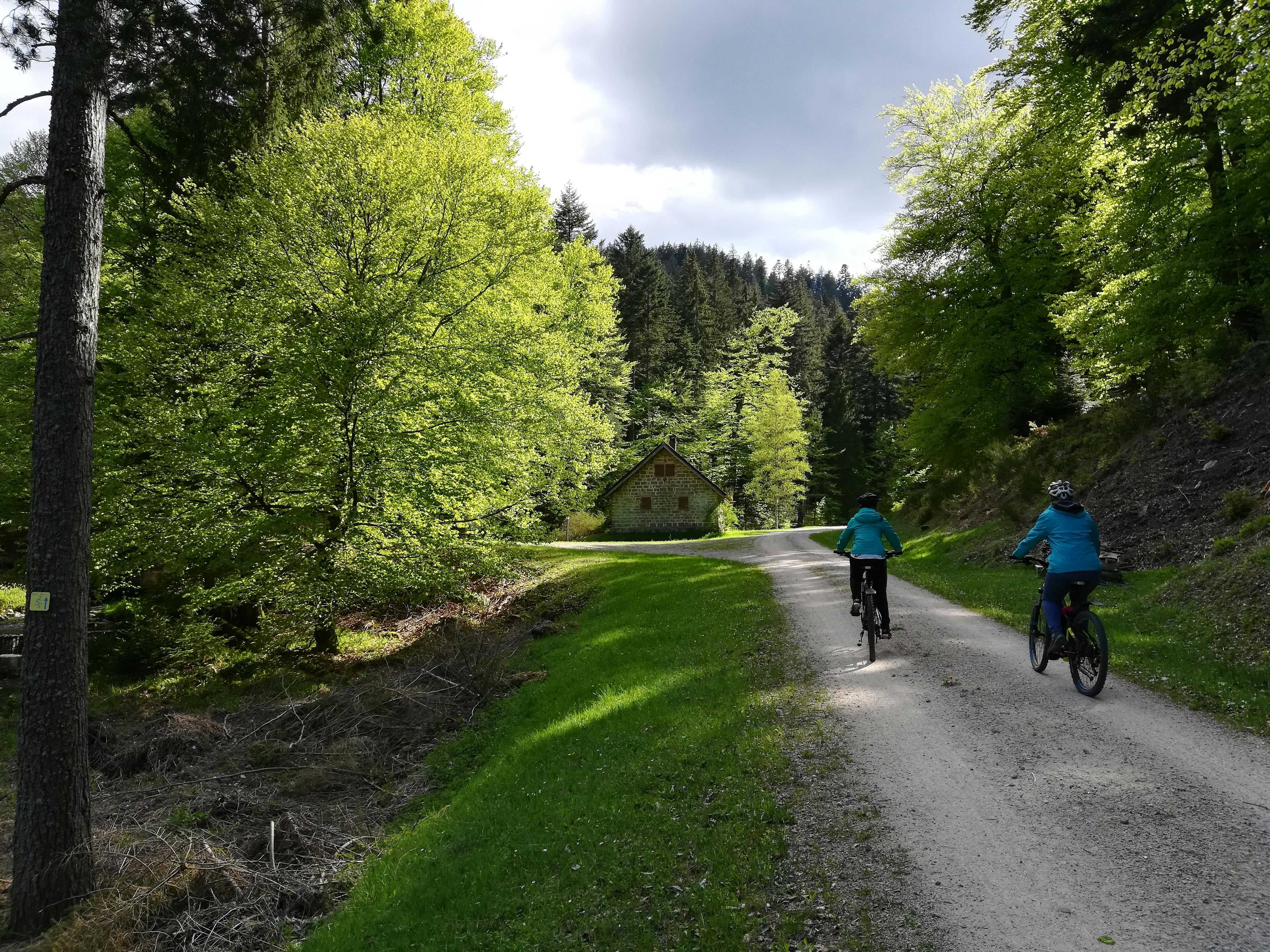 Rauf aufs Rad und Kilometer sammeln! ©Tourismus und Stadtmarketing Bad Herrenalb