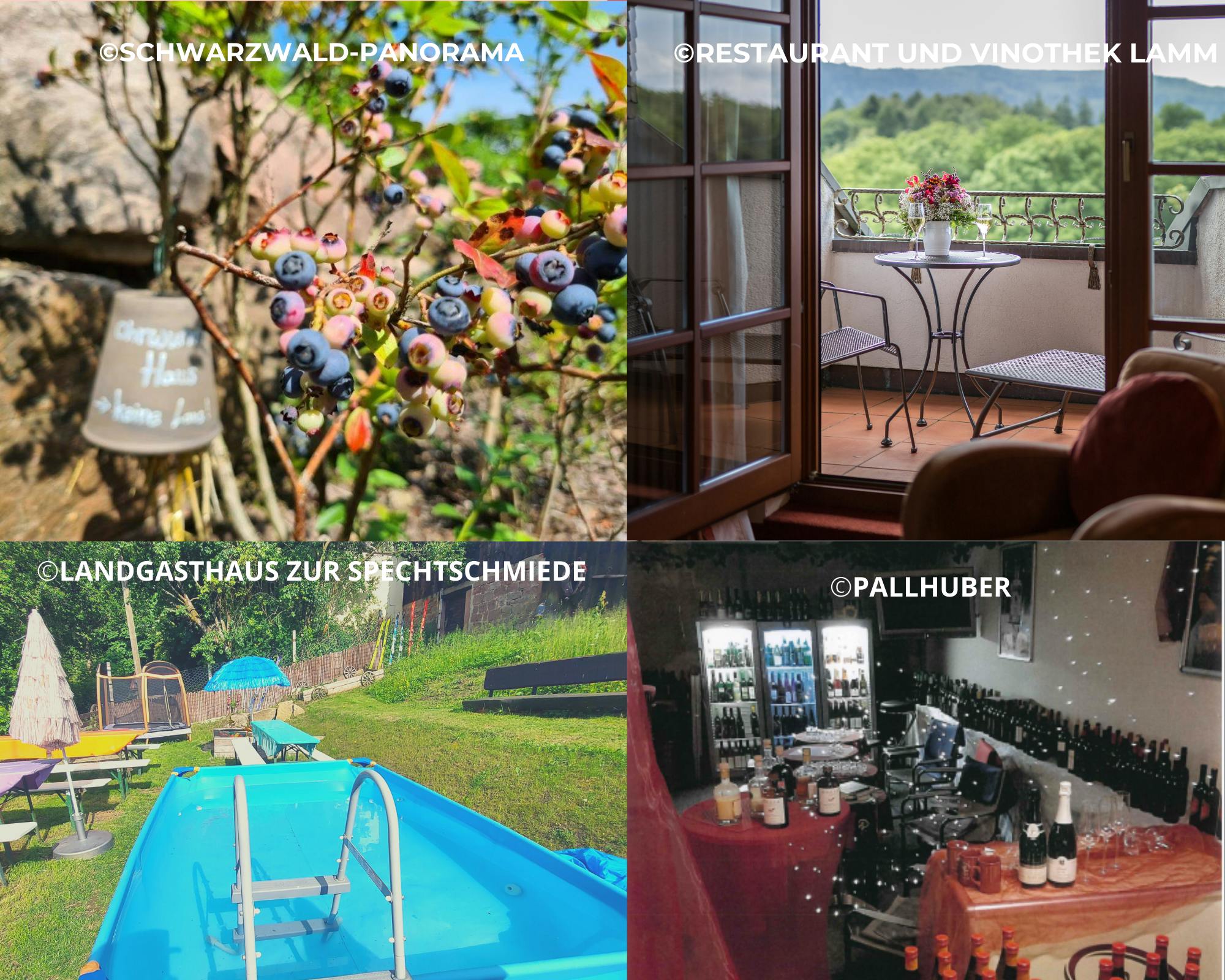 Sommerfrische-Angebote ©Tourimus und Stadtmarketing