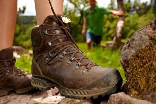 Es ist wieder Wanderzeit. © Tourismus GmbH Nördlicher Schwarzwald