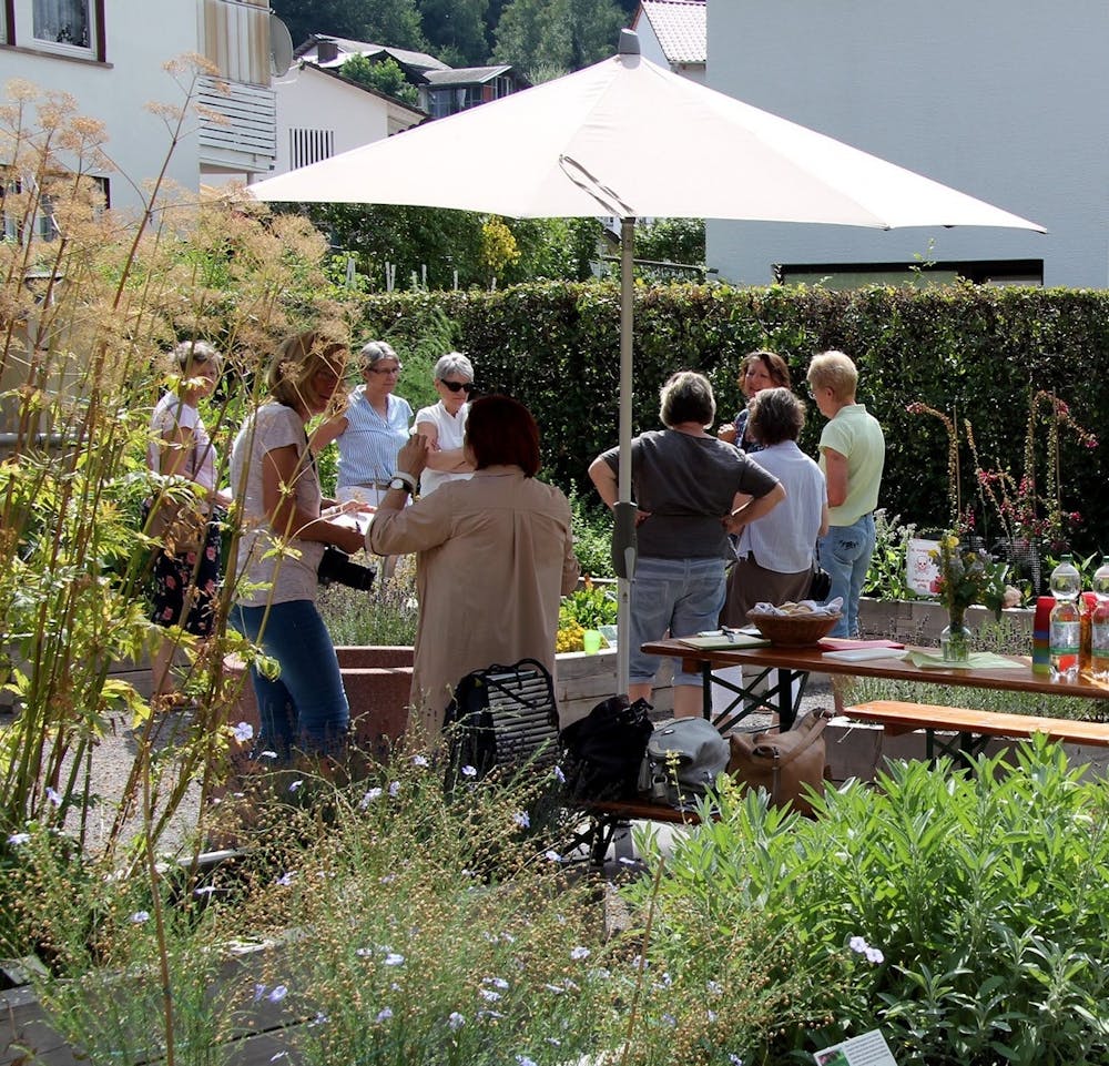 Der Workshop „Heilpflanzen – die Medizin der Klosterfrauen“ findet am 11. Juni im Herrenalber Klostergarten statt. © IG Gartenschau
