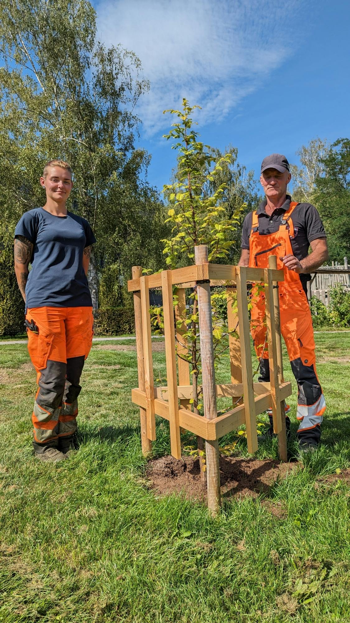 Das Vater-Tochter-Team des Herrenalber Bauhofs, Jenny und René Anthoni, hat die Mammutbäume auf der Schweizerwiese gepflanzt. 