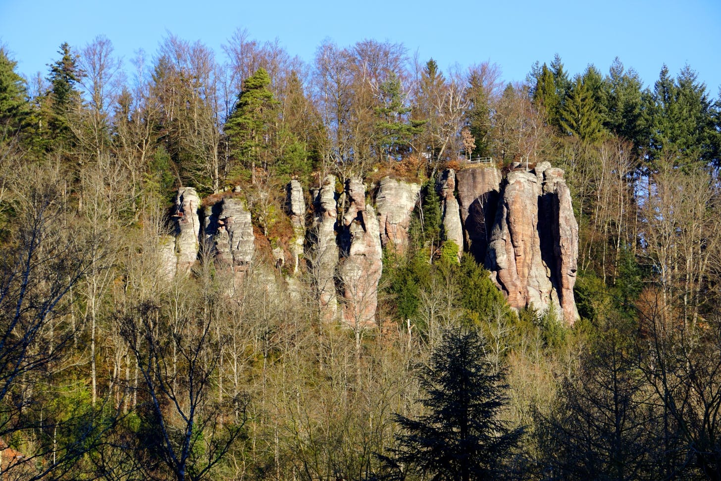 Zwei Bereiche der oberen Gruppe der Falkensteinfelsen sind vom 14. Juni bis zum 1. Januar 2024 für den Klettersport freigegeben.