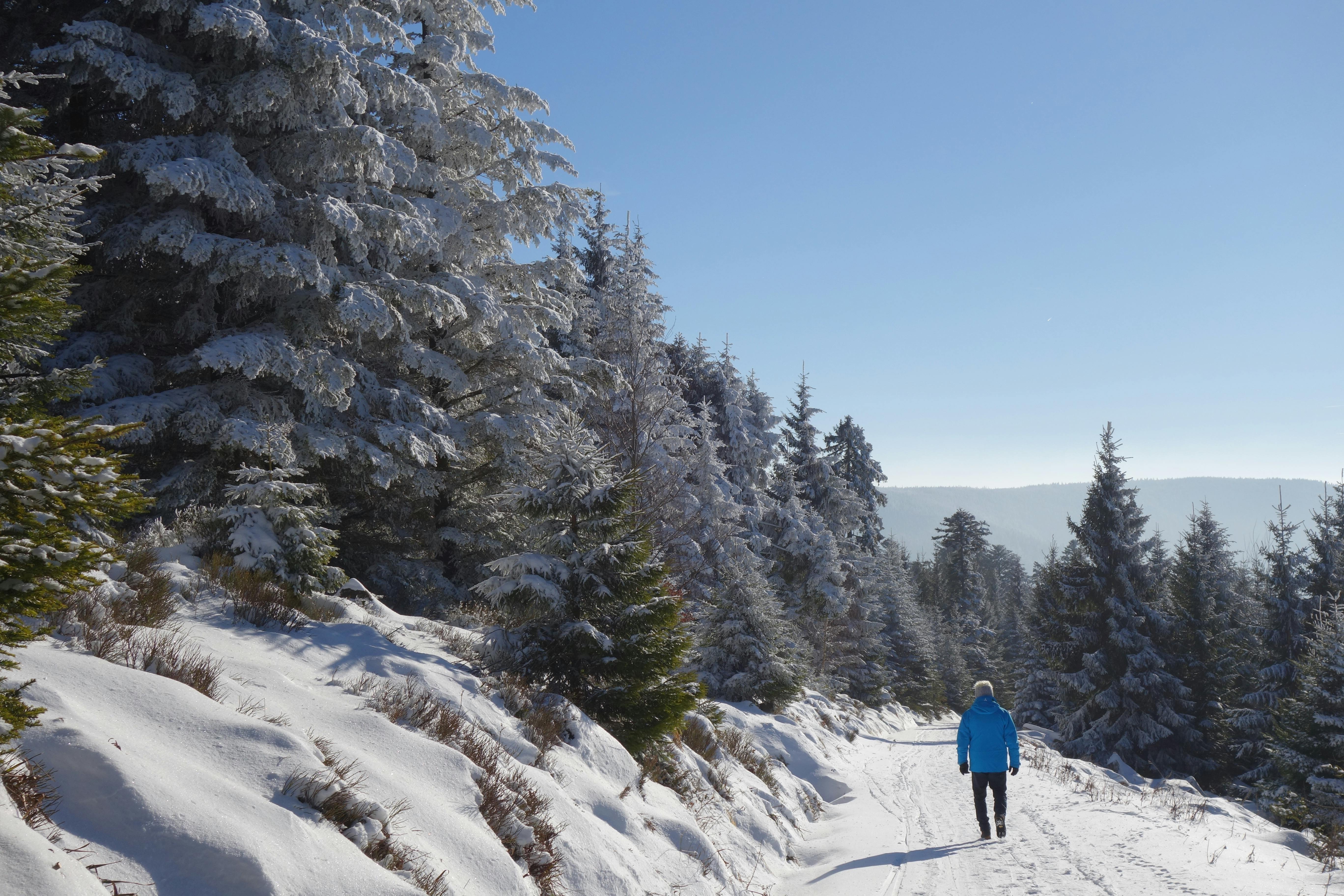 Winterwanderung auf Schwarzwaldhöhen und zur Hahnenfalzhütte © Monika Amann