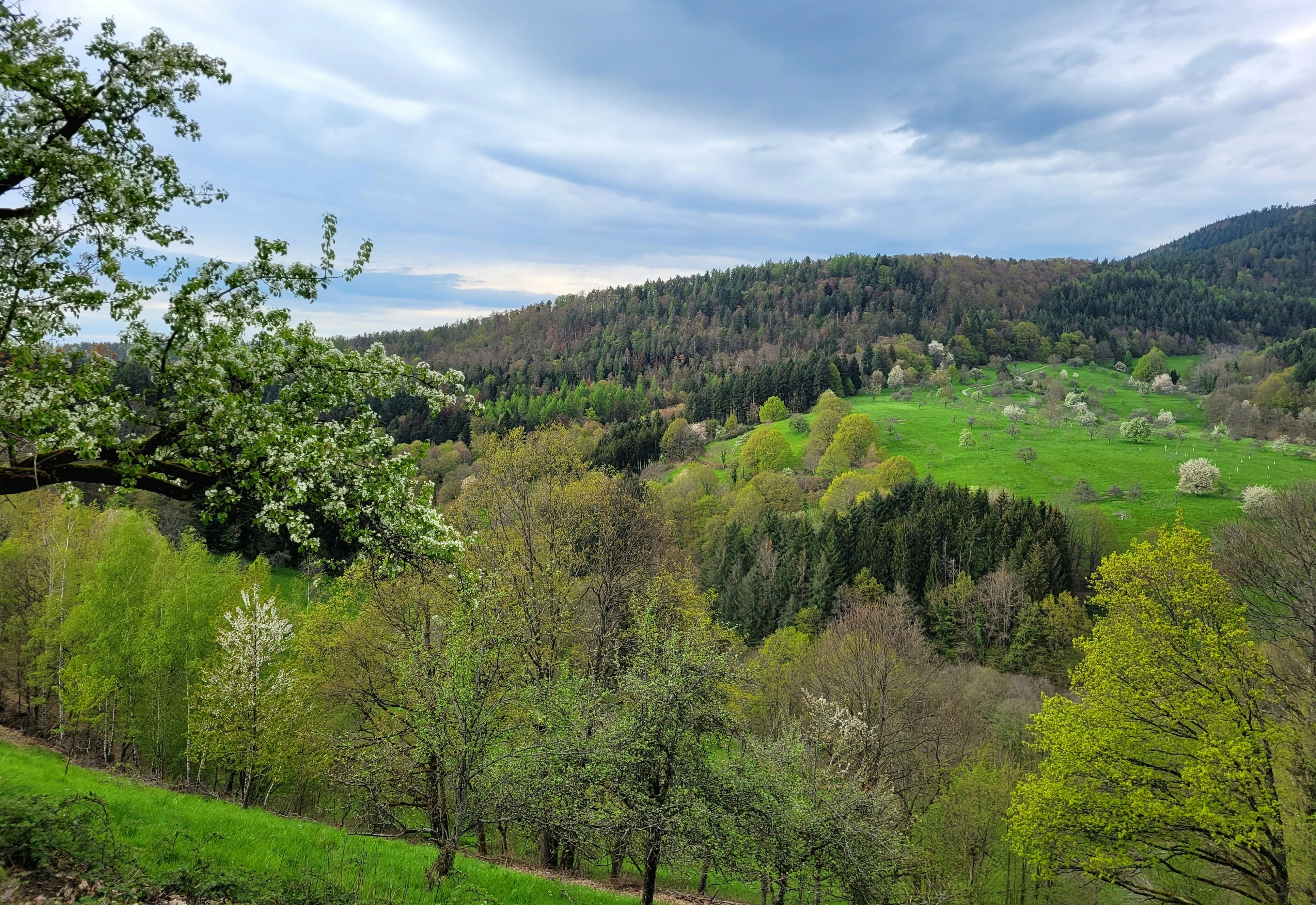 Landschaften um Loffenau ©Monika Amann